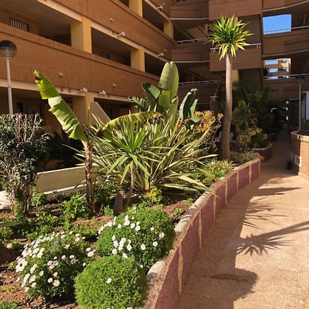 Apartamento ACV - Costa Caribe I-2ª Linea Planta Baja Sur Oropesa del Mar Exterior foto